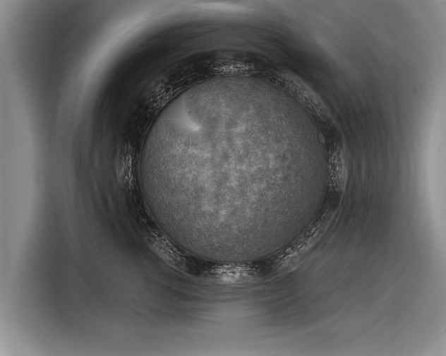 X0000116300762200912071248