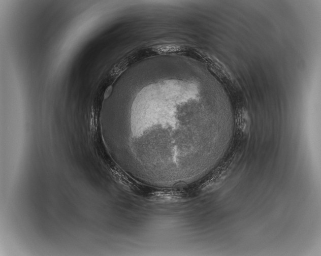 X0000116300763200912071248