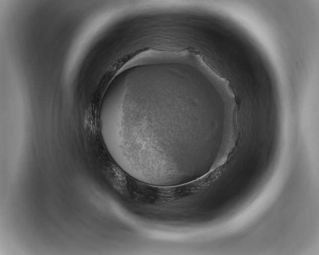 X0000116300766200912071248