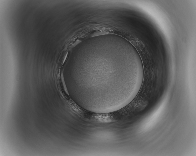 X0000116300767200912071248