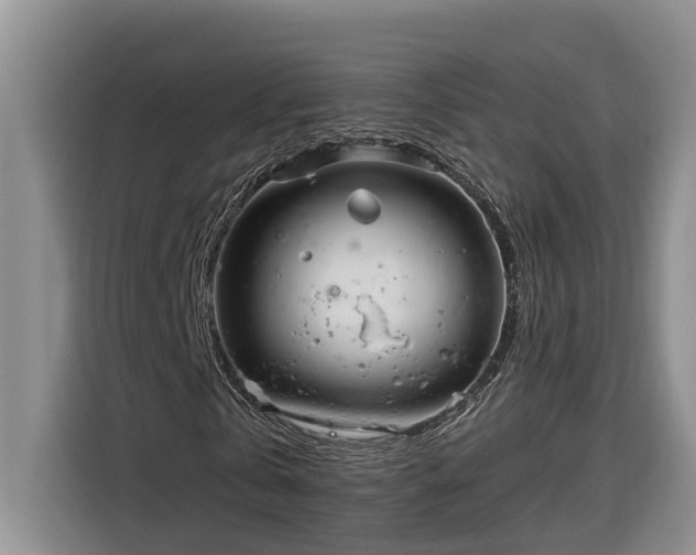 X0000116300769200912071248