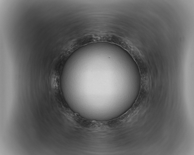 X0000116300770200912071248