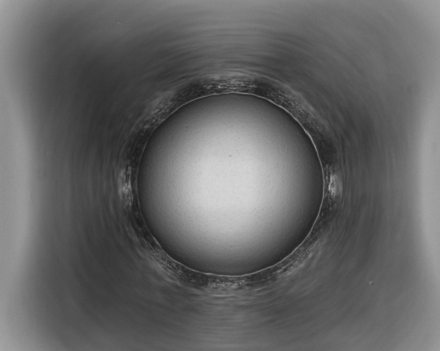 X0000116300771200912071248