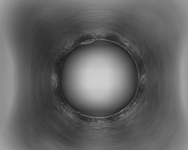 X0000116300772200912071248