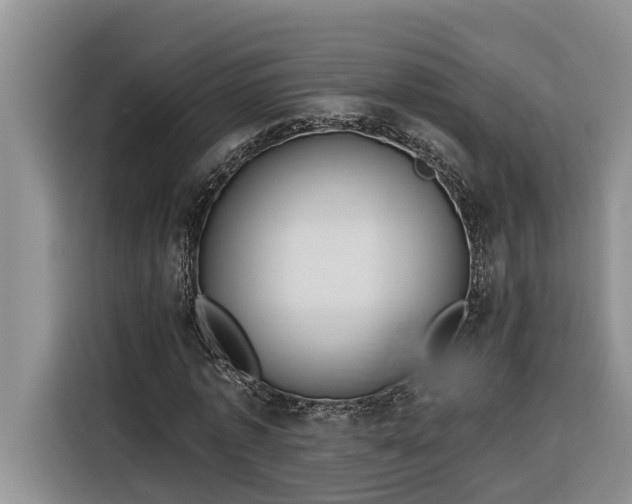 X0000116300773200912071248