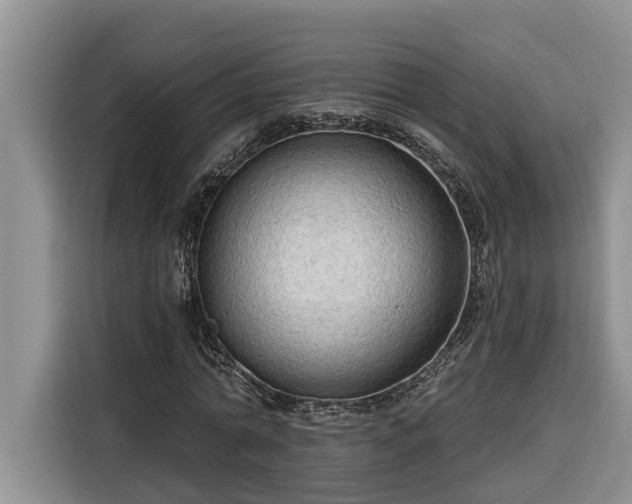 X0000116300774200912071248