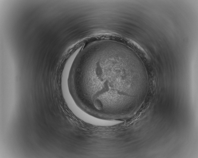 X0000116300775200912071248