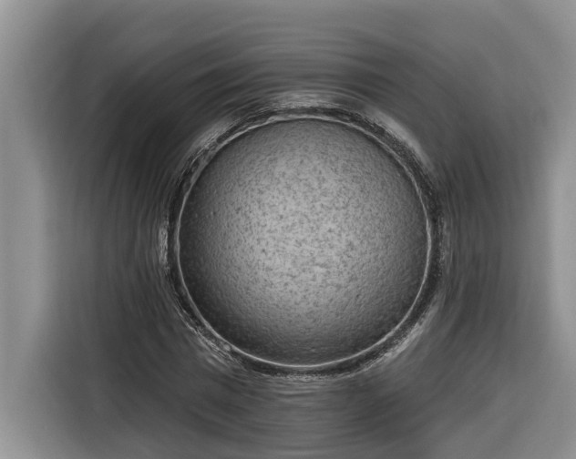 X0000116300777200912071248