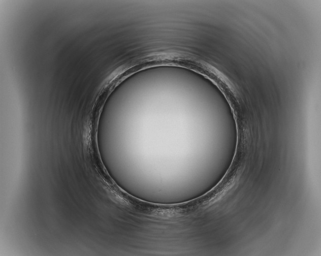 X0000116300778200912071248