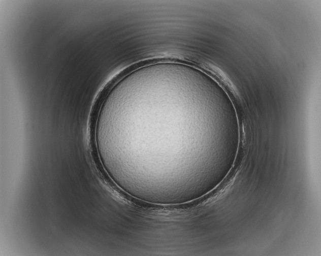 X0000116300780200912071247