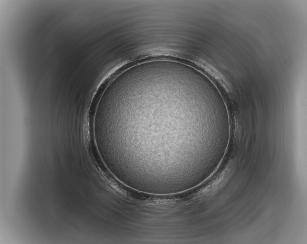 X0000116300782200912071247