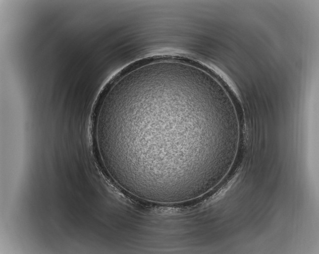 X0000116300783200912071247