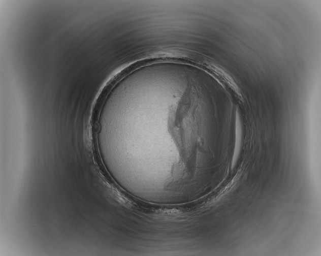 X0000116300784200912071247