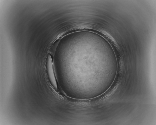 X0000116300785200912071247