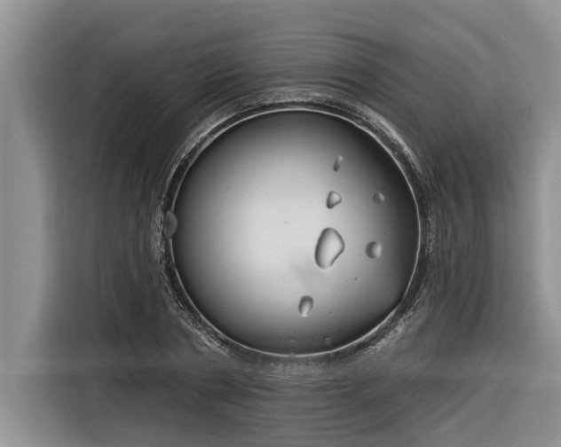 X0000116300786200912071247