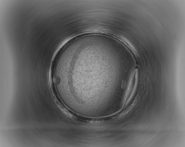 X0000116300788200912071247