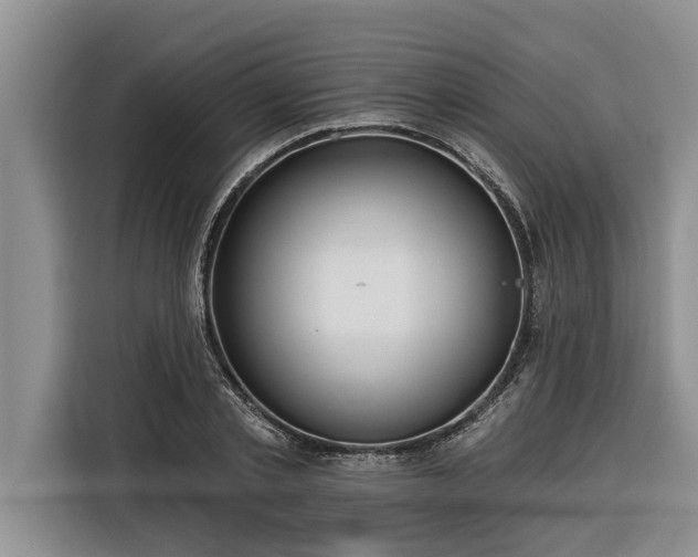 X0000116300789200912071247