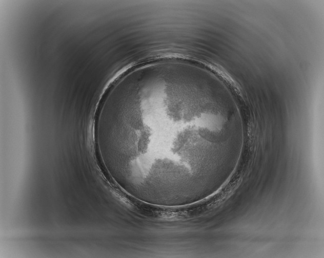 X0000116300790200912071247