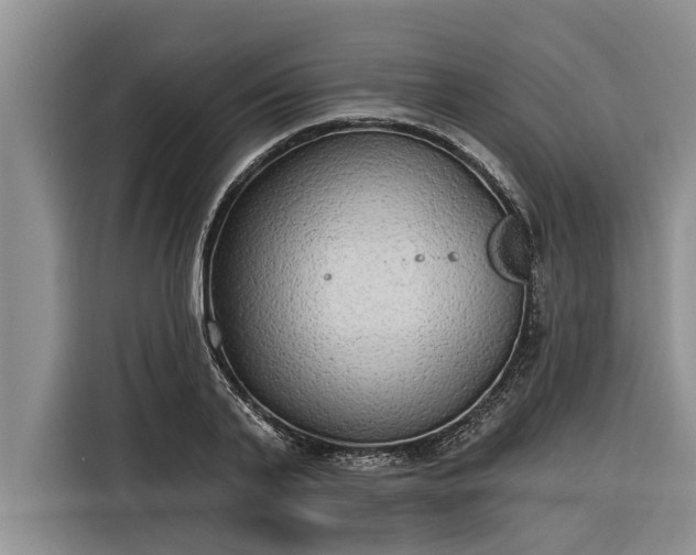 X0000116300791200912071247