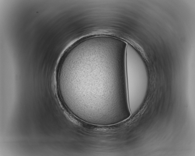 X0000116300792200912071247