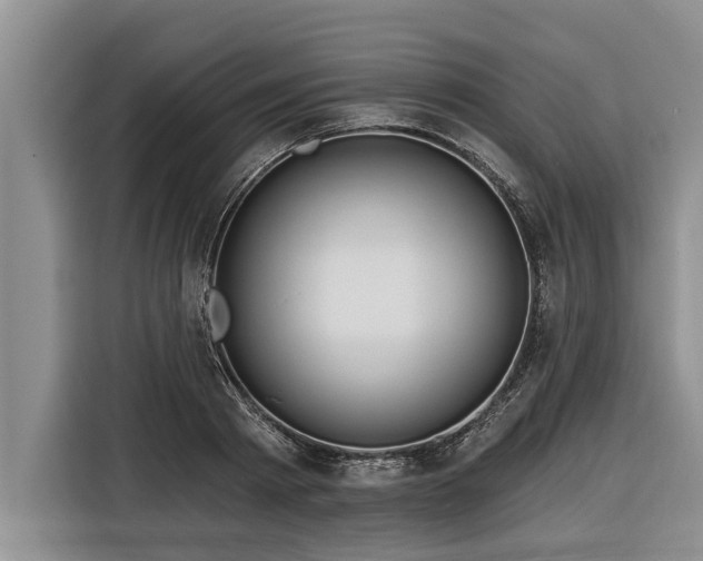 X0000116300793200912071247