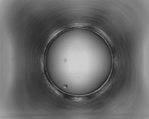 X0000116300794200912071247