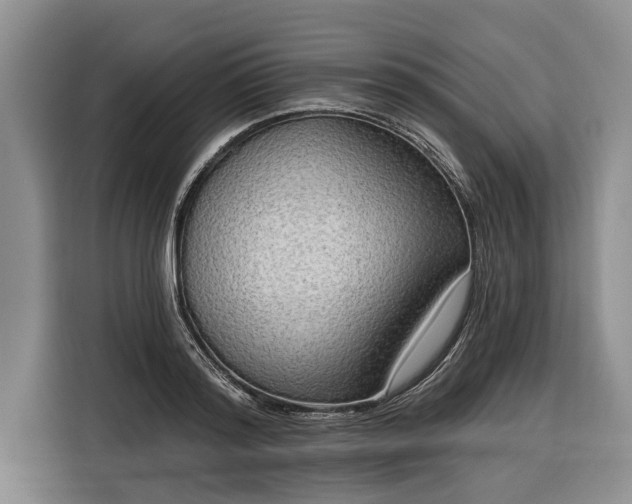 X0000116300796200912071247