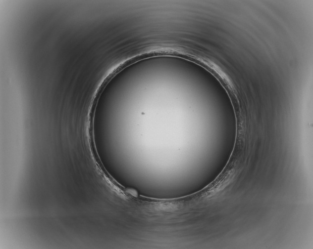 X0000116300799200912071247