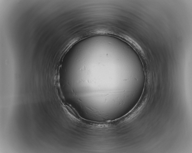 X0000116300801200912071247