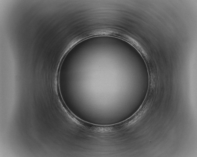 X0000116300802200912071247