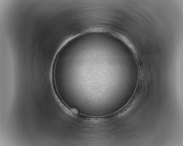 X0000116300803200912071247