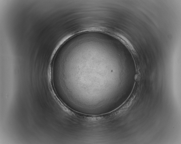 X0000116300804200912071247