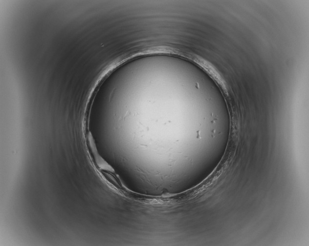 X0000116300805200912071247