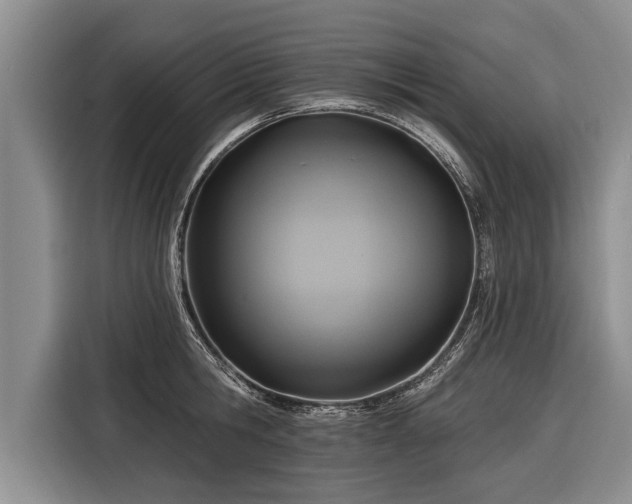 X0000116300806200912071247