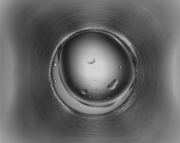 X0000116300807200912071247