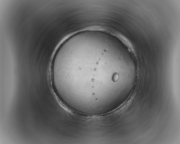 X0000116300808200912071247