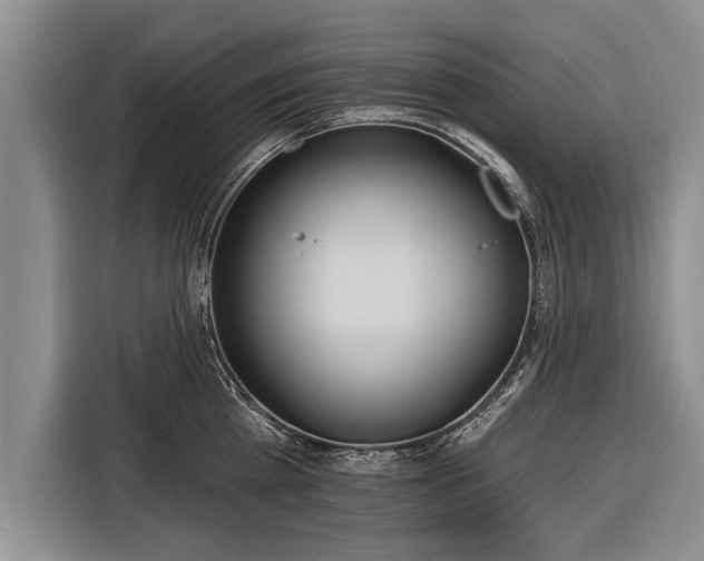 X0000116300809200912071247