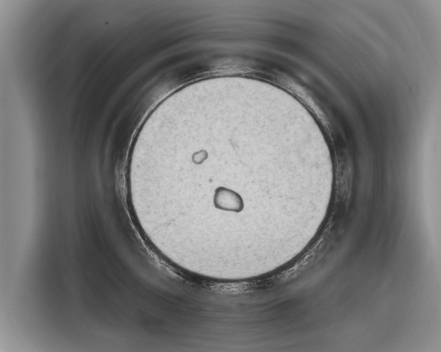 X0000116300810200912071247