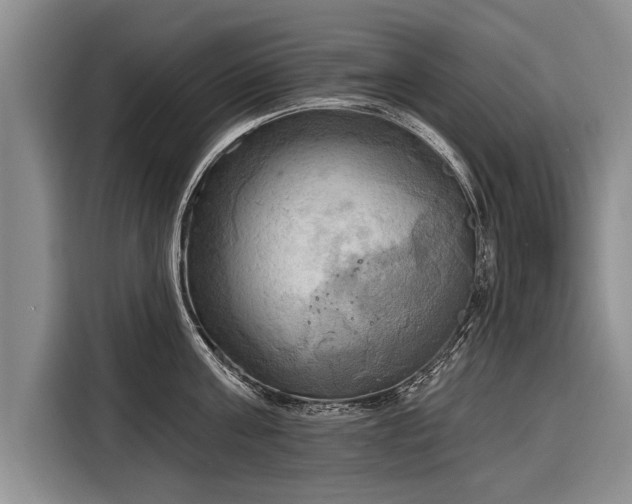 X0000116300811200912071247