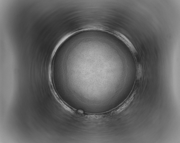 X0000116300812200912071247