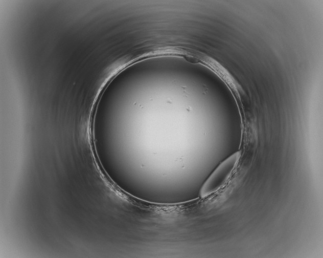 X0000116300813200912071247