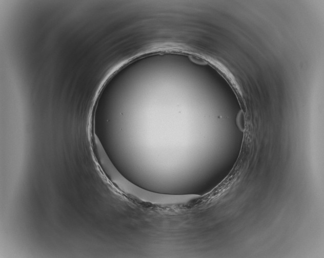 X0000116300815200912071247