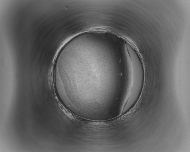 X0000116300816200912071247