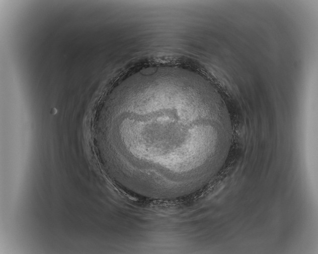 X0000116300817200912071246