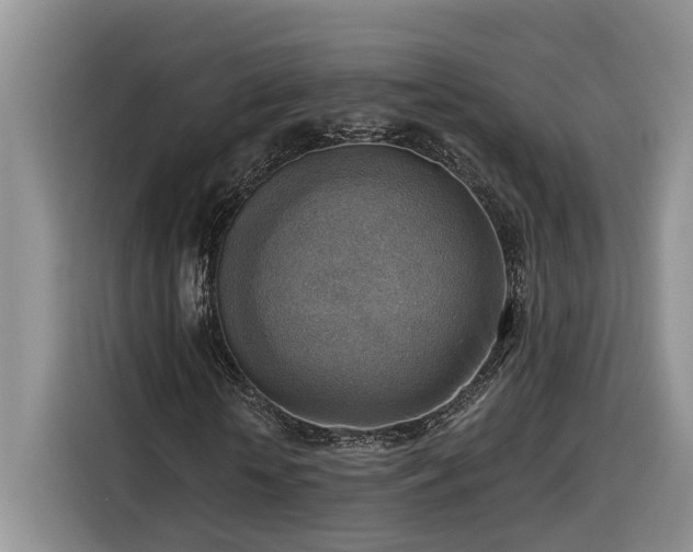 X0000116300818200912071246