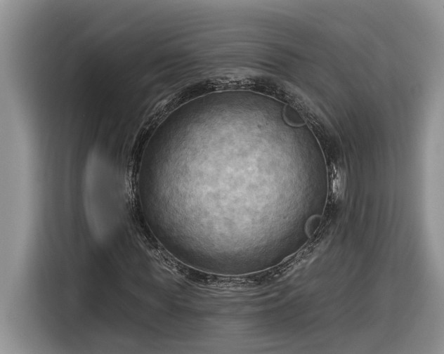 X0000116300819200912071246