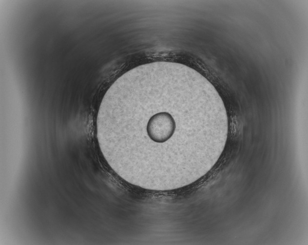 X0000116300820200912071246