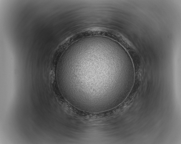 X0000116300821200912071246