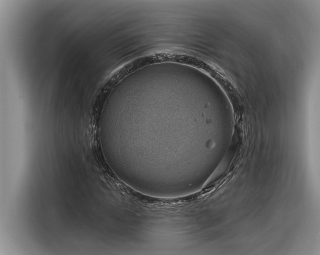 X0000116300822200912071246