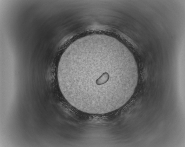 X0000116300824200912071246